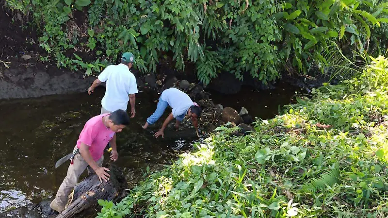 Tuxtla Chico